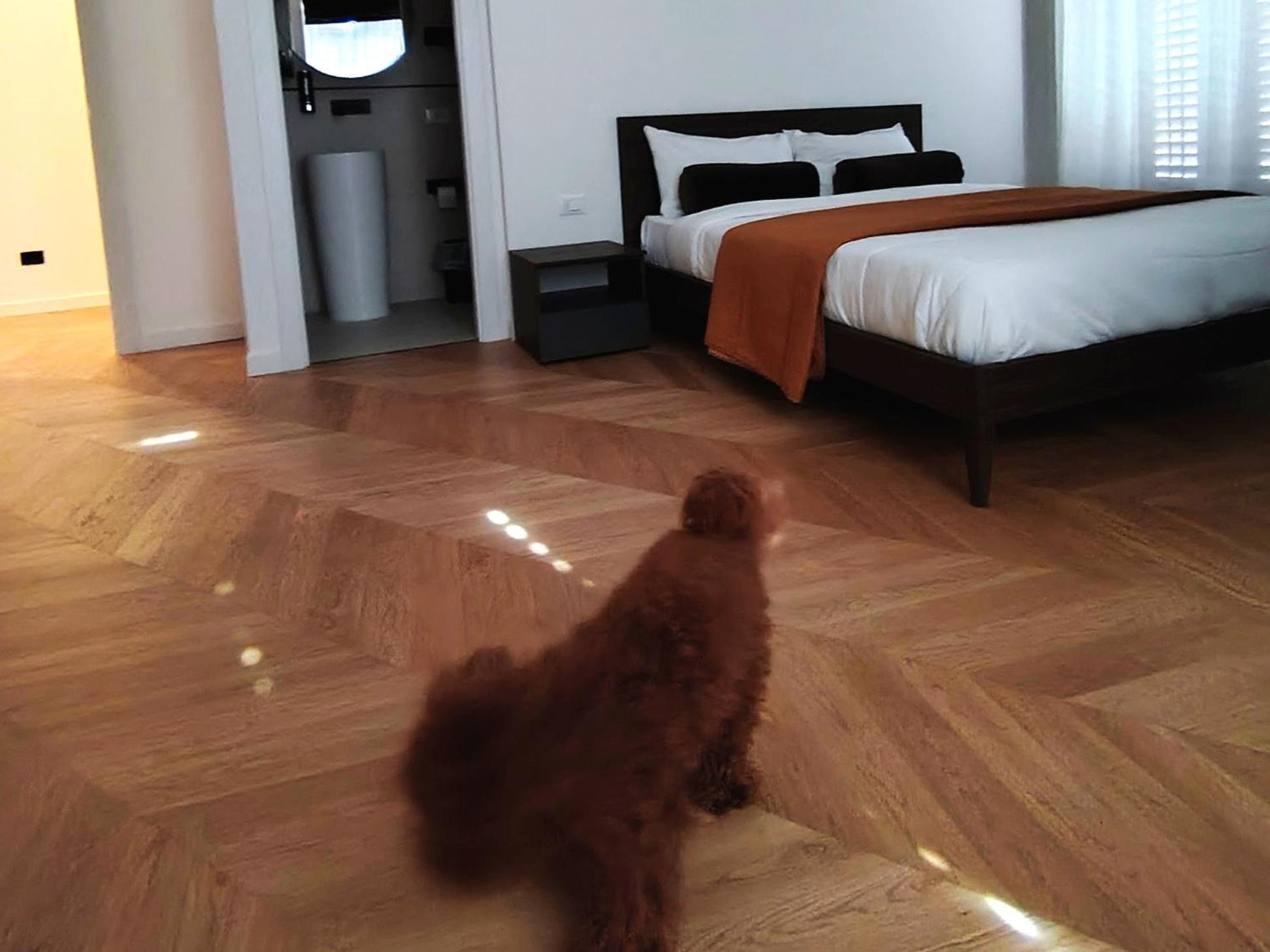 Casa O'Tama Apartment - Palermo — Photos 2